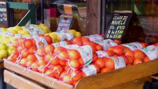 Historic Maitland citrus stand announces closure [upl. by Hammad]