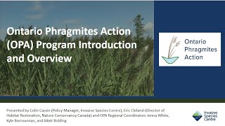 Ontario Phragmites Program OPA Introduction and Overview [upl. by Yvan]