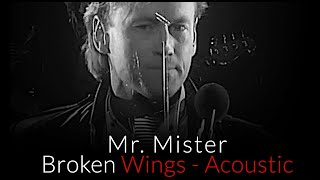 Mr Mister  Broken Wings  Acoustic 2024 [upl. by Samale]