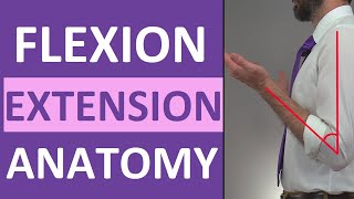 Flexion and Extension Anatomy Shoulder Hip Forearm Neck Leg Thumb Wrist Spine Finger [upl. by Susy]