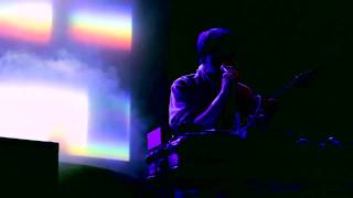 Panda Bear  Surfers Hymn Live at Governors Island [upl. by Nairda]