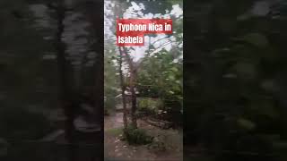 Typhoon Nica Battered Isabela asmr typhoon nica [upl. by Saiff839]