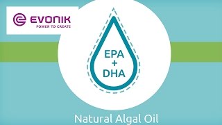 Natural marine algae as high quality source of omega3 – An innovation by DSM and Evonik  Evonik [upl. by Aileahcim]