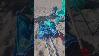 Stupid beach goers buying new and dumping it at the beach [upl. by Ttenaej980]