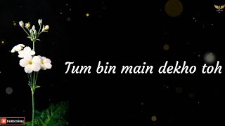 Tum Todo Na Dil Mera Lyrics Female Version  Tum Bin Main Dekho Toh Song  tumtodona lyrics songs [upl. by Skill100]