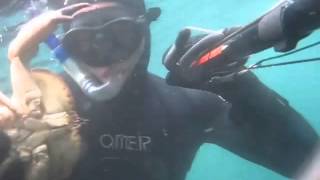 Spearfishing trip to Saltstraumen 2011 [upl. by Idden]