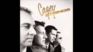 Cagey Strings Band  Long Tall Sally [upl. by Onofredo72]