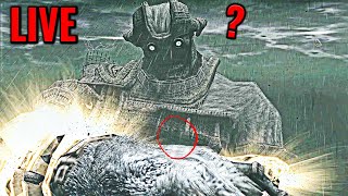 🔴 LIVE  SHADOW OF THE COLOSSUS WANDER INVISÍVEL CONTINUANDO [upl. by Eilojne]