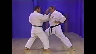 Goju ryu kata Shisochin bunkai [upl. by Ivanna]