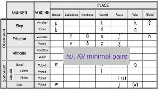 Alveolar fricatives s and z [upl. by Balch311]