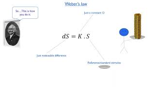 Psychology of Perception 01  Webers law amp Just noticeable difference JND [upl. by Xonel]