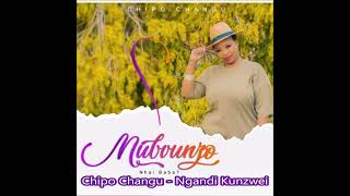 Chipo Changu  Ngandi Kunzwei Mubvunzo Album July 2023 Gospel [upl. by Romeyn872]