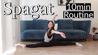 Spagat lernen für Anfänger  10min Stretching Routine [upl. by Meggy657]