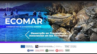 Ecomar apoya producción de ostras y mejillones en el golfo de Nicoya [upl. by Janean]