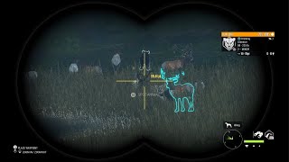 The Hunter Call of the Wild Hunting In Silver Ridge [upl. by Suckram]