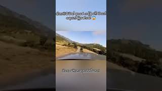 වෙන්න කලින් බලන්න ❗ shorts scary travel [upl. by Nidraj530]