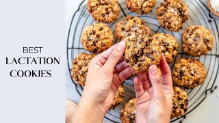 BEST Lactation Cookies Recipe for Moms  Healthy and Vegan [upl. by Emya206]