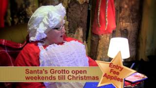 Hetland Garden Centre Chrismas TV ad [upl. by Boj348]