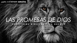 Las Promesas de Dios  Versiculos Biblicos Para Dormir [upl. by Htebazil]