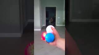 Dog and squeaking Balls reverse video [upl. by Ehr]