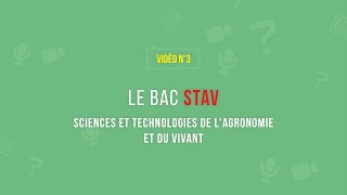 Extrait n°38  BAC STAV  À la découverte de la voie technologique  FR 2022 [upl. by Asirralc]