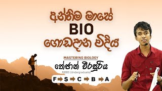 දැන් S එකේ හිටියත් අන්තිම මාසෙ BIO AB වලට යන්නේ කොහොමද [upl. by Nonek]