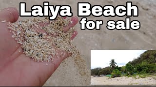 6 Hectares Titled beachfront property Laiya San JuanBatangas for sale [upl. by Gnek]