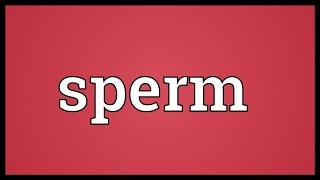 Sperm Meaning [upl. by Leitman]