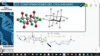 TEMA 2 CICLOALCANOS  23 CONFORMACIONES DEL CICLOHEXANO [upl. by Eceinwahs]