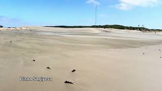 Cape Recife Nature Reserve Gqeberha [upl. by Edana]