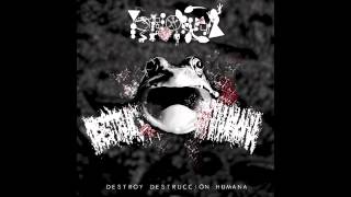 Phyllomedusa  Destroy Destrucción Humana Full Album [upl. by Buroker221]