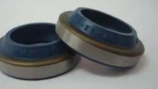 Oil Seals [upl. by Arodal]