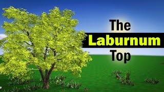 The Laburnum Top Class 11 Poem Animation in English [upl. by Atinid]