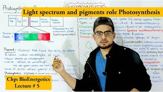 photosynthetic pigments and their role  Chlorophyll and carotenoids [upl. by Eetak250]