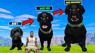 Growing Smallest Black Chop Into Biggest Black Chop in GTA 5 Part 2 The END [upl. by Adnala]