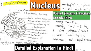 Nucleus  Structure amp Functions  Nucleolus  Cell Biology Notes bscnotes biology [upl. by Tilda]