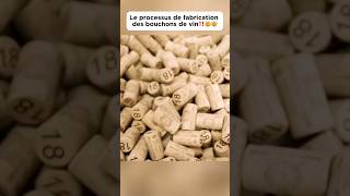 Le processus de fabrication des bouchons de vin‼️🤯🤯 bouchon wine plug découverte pourtoi fyp [upl. by Nanoc]