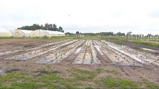 Pogodowy armagedon Burze nad Polską [upl. by Palmira]