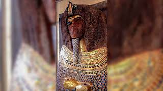 The secret of the Amarna mummies DNA of Akhenaten  Nefertiti and Tutankhamun  part 3 [upl. by Beverie]