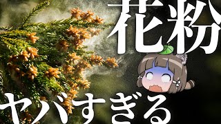 【花粉症】日本のスギ花粉がヤバすぎる本当の理由を知ってますか？ [upl. by Synned747]