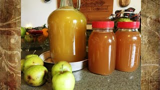 Using a Fruit Press for Making Apple Juice [upl. by Lawson]