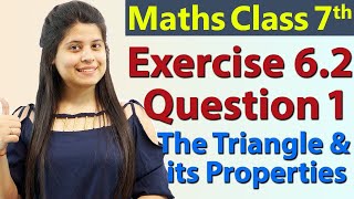 Q 1 Ex 62  The Triangle and its Properties  Chapter 6  Maths Class 7th  NCERT [upl. by Topping354]