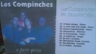 los compinches de tacuarembo el gato rengo polca [upl. by Anerual929]