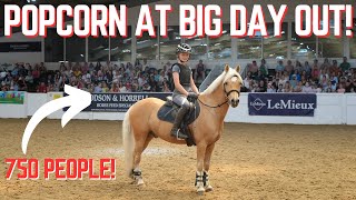 HARLOW AND POPCORN AT PONY MAG BIG DAY OUT [upl. by Oyam]