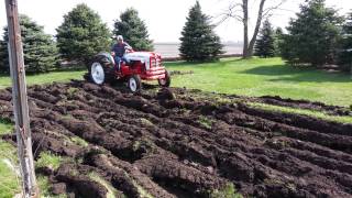 Ford Powermaster 861 plowing sod [upl. by Pietro829]