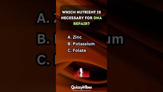 🍎 Are You a Nutrition Pro Test Your Knowledge nutrition quiz [upl. by Hildegarde13]