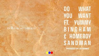 TiRon amp Ayomari  Do What You Want ft Yummy Bingham amp Homeboy Sandman Produced by Go Ronnie [upl. by Averil]