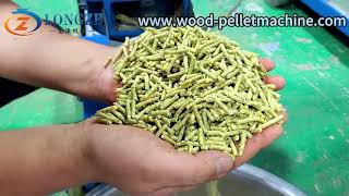 Cattle feed pellet production process optimization secrets to improve efficiency [upl. by Verla635]