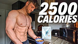 Full Day Of Eating 2500 Calories  Realistic amp Tasty Meals [upl. by Nicram733]