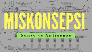 Sense  Antisense dan Miskonsepsi Pada Buku SMA [upl. by Kayla]